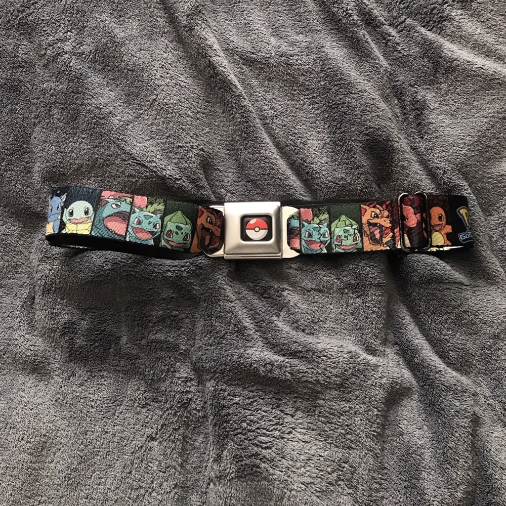 Seatbelt belt